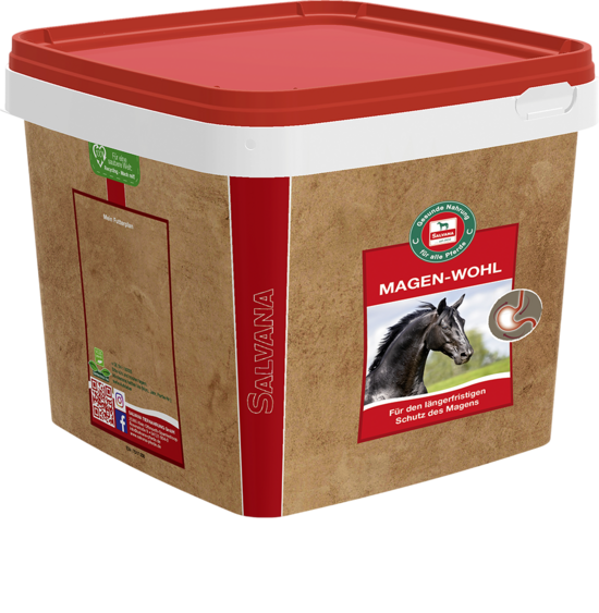 JAUNUMS! SALVANA MAGEN-WOHL kuņģa gļotādas aizsardzībai